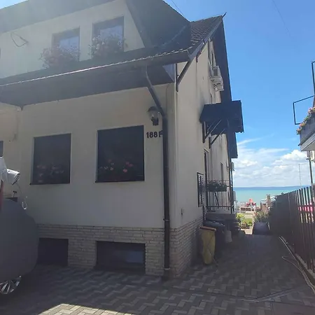 In 19919 希欧福克